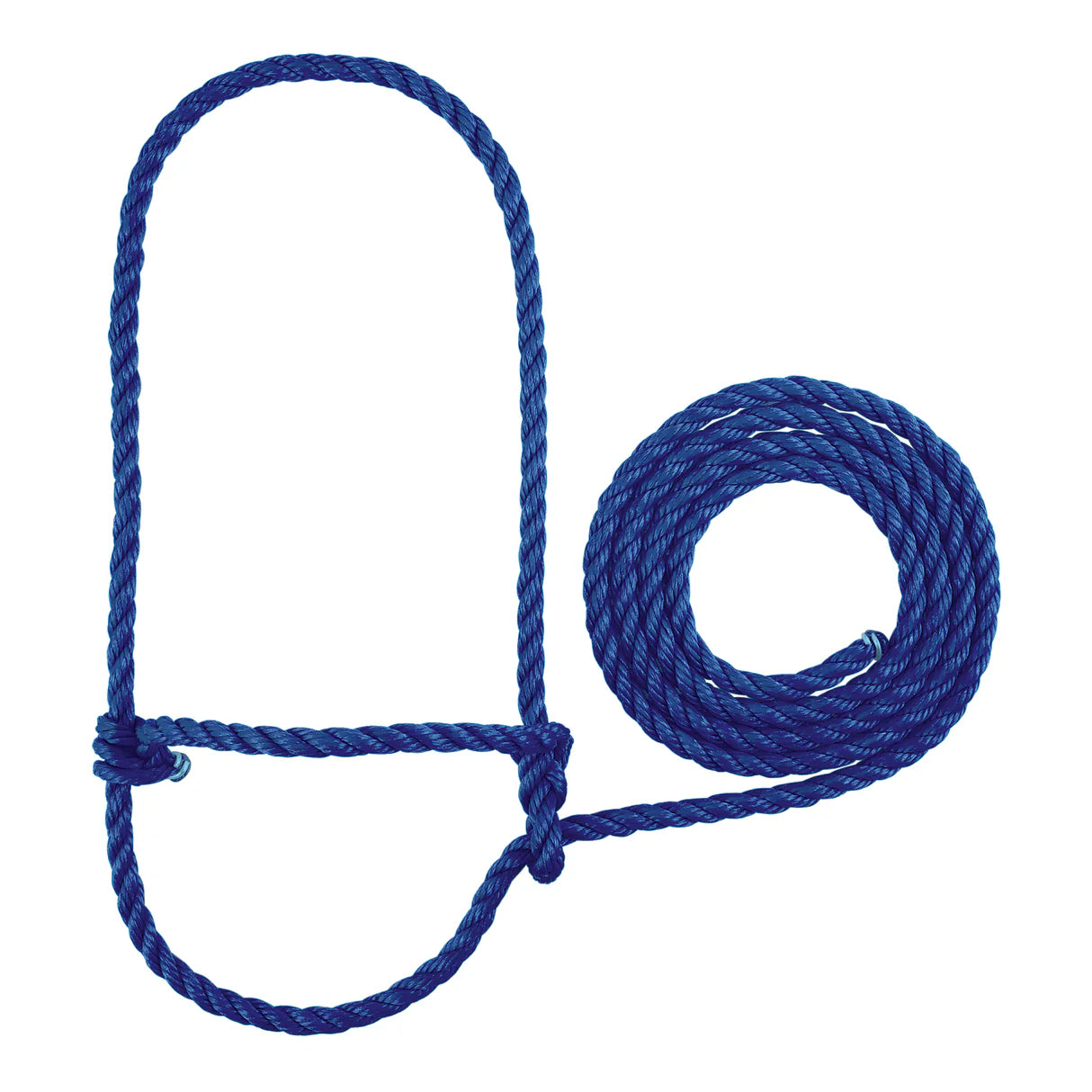 blue rope halter for cattle with a loop on a white background