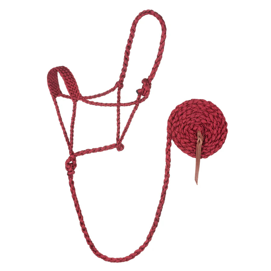 A braided rope halter for horses with a lead, red in color, on a white background.