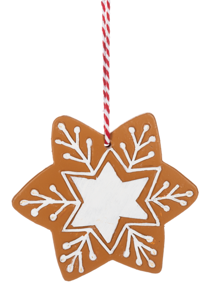 Resin Snowflake Ornament by Ganz®