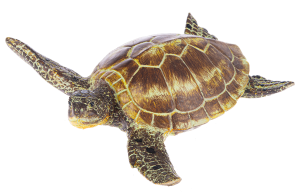 Floating Pool Turtle by Ganz®