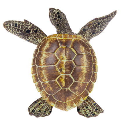 Floating Pool Turtle by Ganz®