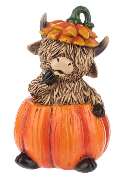 a highland steer in a pumpkin decoration