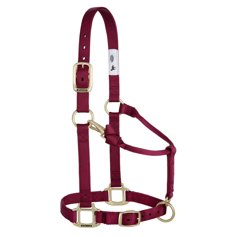 burgandy nylon horse halter with brass plated hardware, including a buckle and throat snap, and box-stitching at stress points.