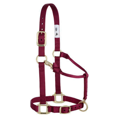 burgandy nylon horse halter with brass plated hardware, including a buckle and throat snap, and box-stitching at stress points.