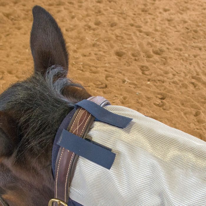 Orien 4 Horse Fly Sheet by Canadian Horsewear Co.®