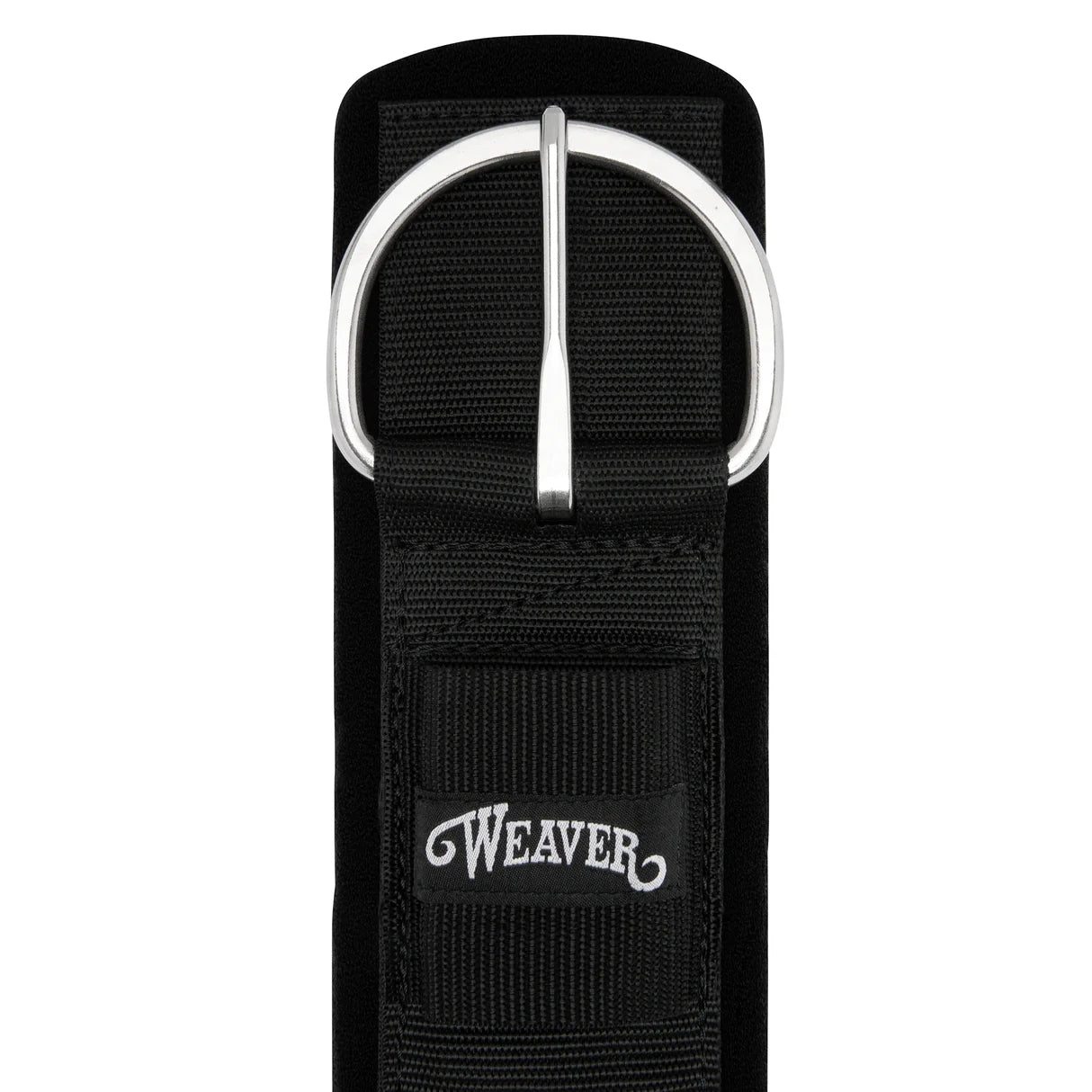 black neoprene lined cinch with buckles on a white background