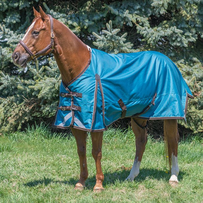 Galapagos 'Diablo' 300gm  Winter Blanket by Canadian Horsewear Co.®