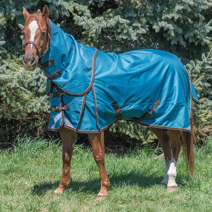 Galapagos 'Diablo' 300gm  Winter Blanket by Canadian Horsewear Co.®
