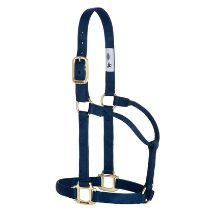 a navy nylon web horse halter with brass hardware