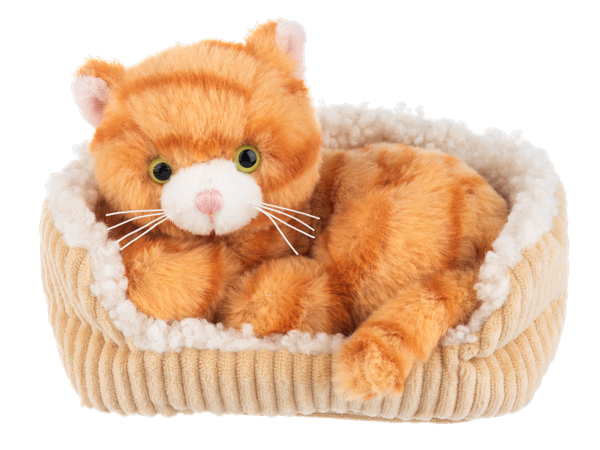 Snuggle'n Snooze Kitten Stuffy by Ganz®