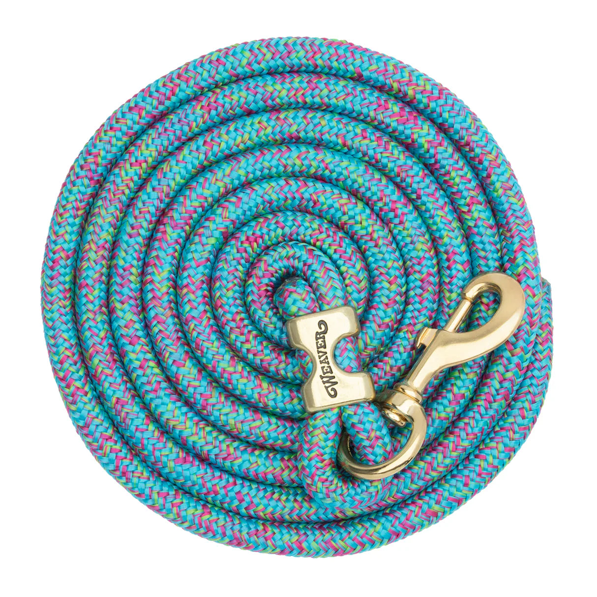blue and pink coiled lead rope for horses with a brass clip on a white background