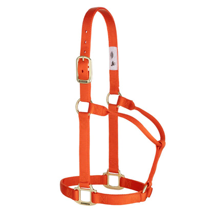 orange nylon horse halter with brass hardware on a white background