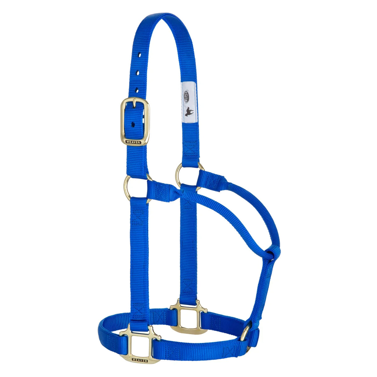 a blue nylon web horse halter with brass hardware