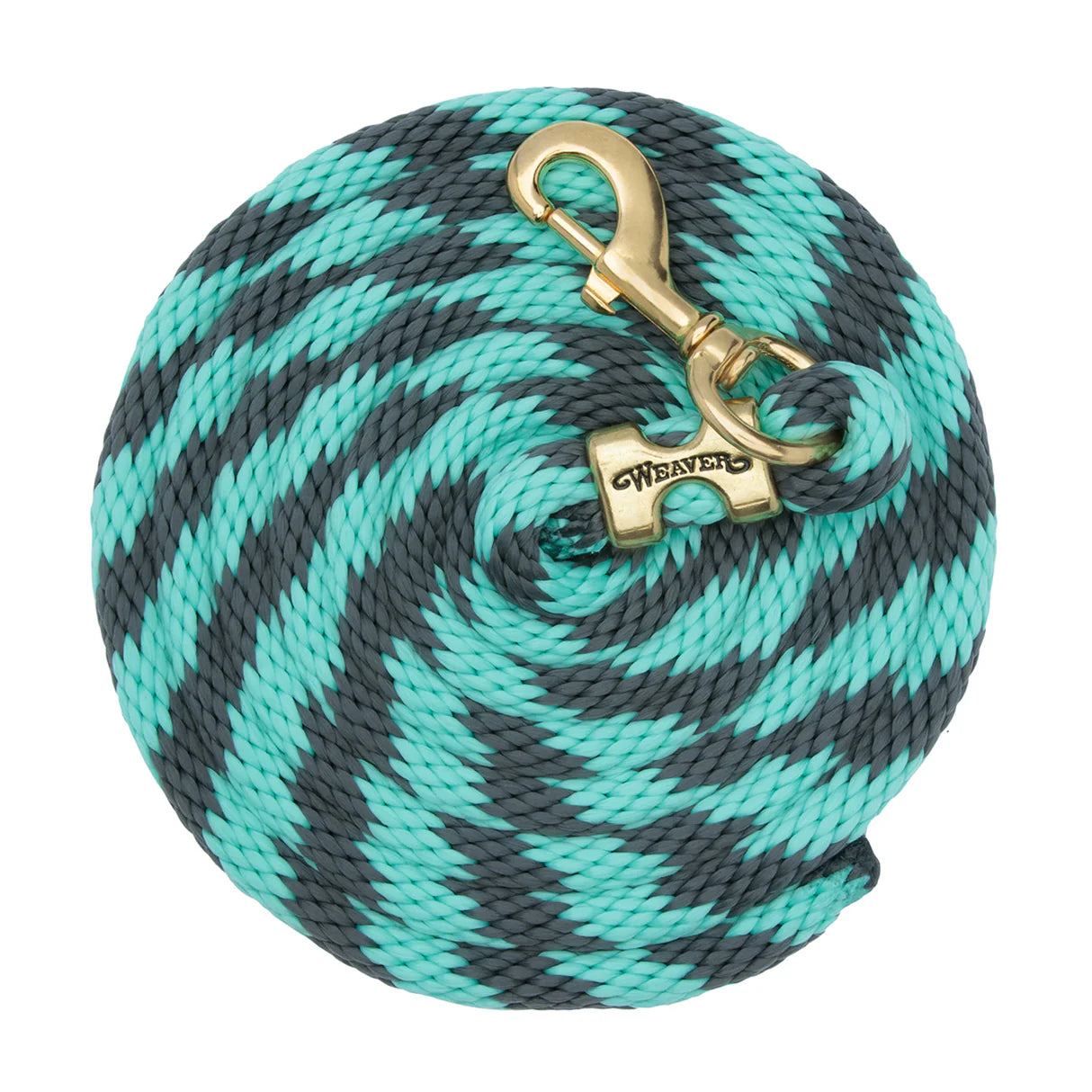 mint and grey coiled lead rope for horses with a brass clip on a white background