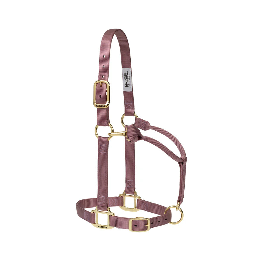 mauve nylon horse halter with brass plated hardware and adjustable chin and throat snap.
