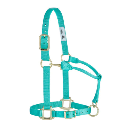 aqua green nylon horse halter with brass plated hardware and adjustable chin and throat snap.