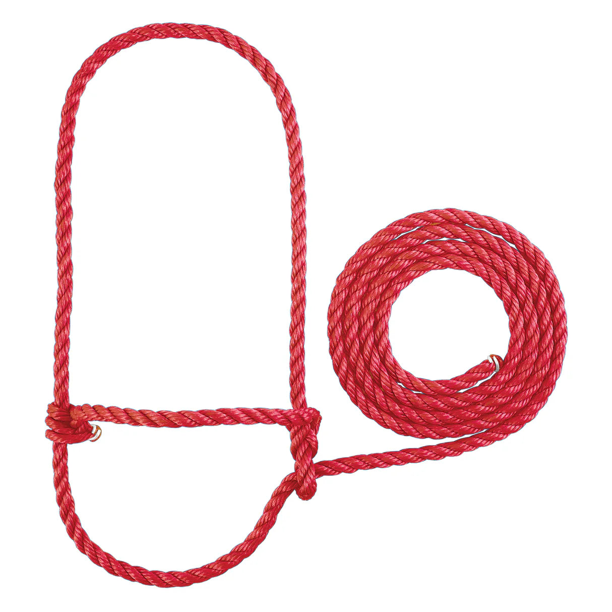 Red rope halter for cattle and rope on a white background