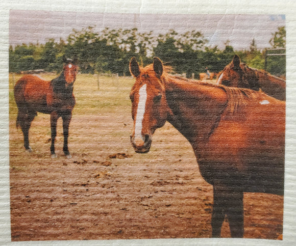 More Joy® Swedish Dishcloth