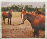 More Joy® Swedish Dishcloth