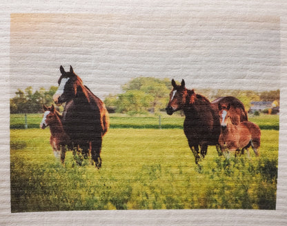 More Joy® Swedish Dishcloth