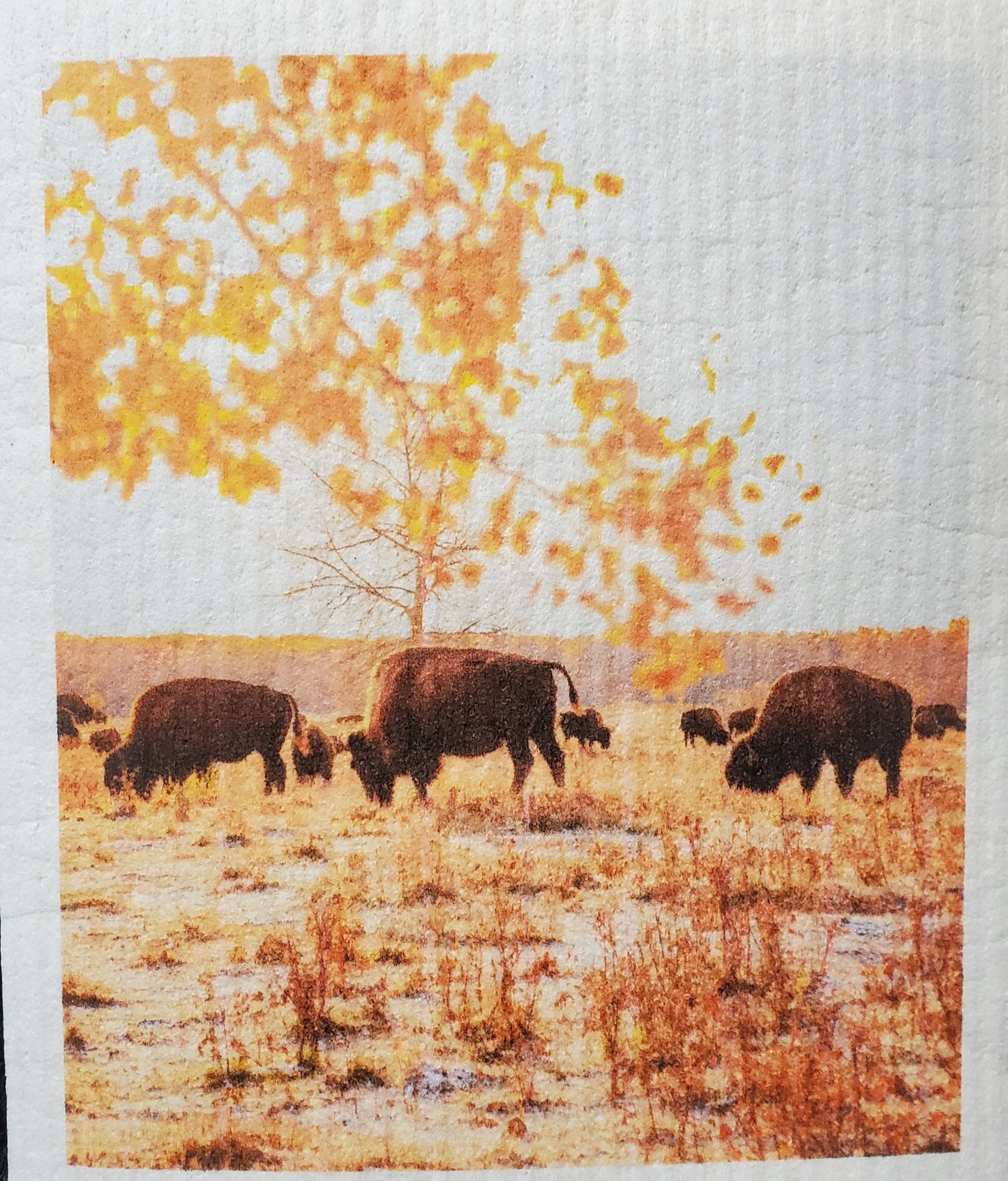 More Joy® Swedish Dishcloth