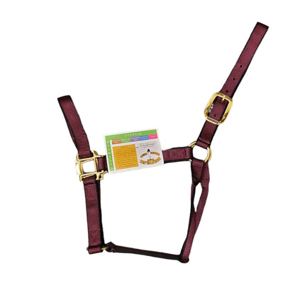 Ultimate Halter by Burwash™ Brand - WEANLING SIZE