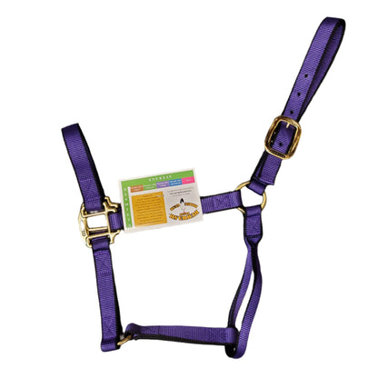 Ultimate Halter by Burwash™ Brand - WEANLING SIZE