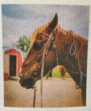 More Joy® Swedish Dishcloth