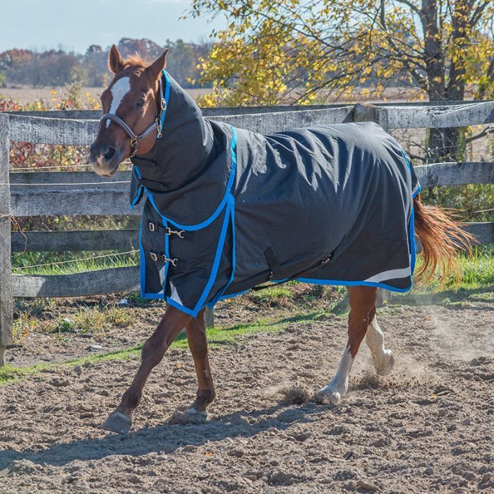 Seaport 'Diablo' 300gm  Winter Blanket by Canadian Horsewear Co.®