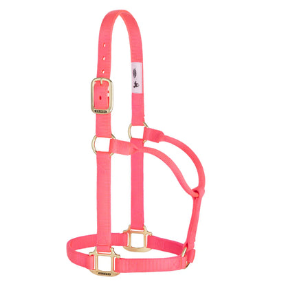 pink nylon horse halter with brass hardware on a white background