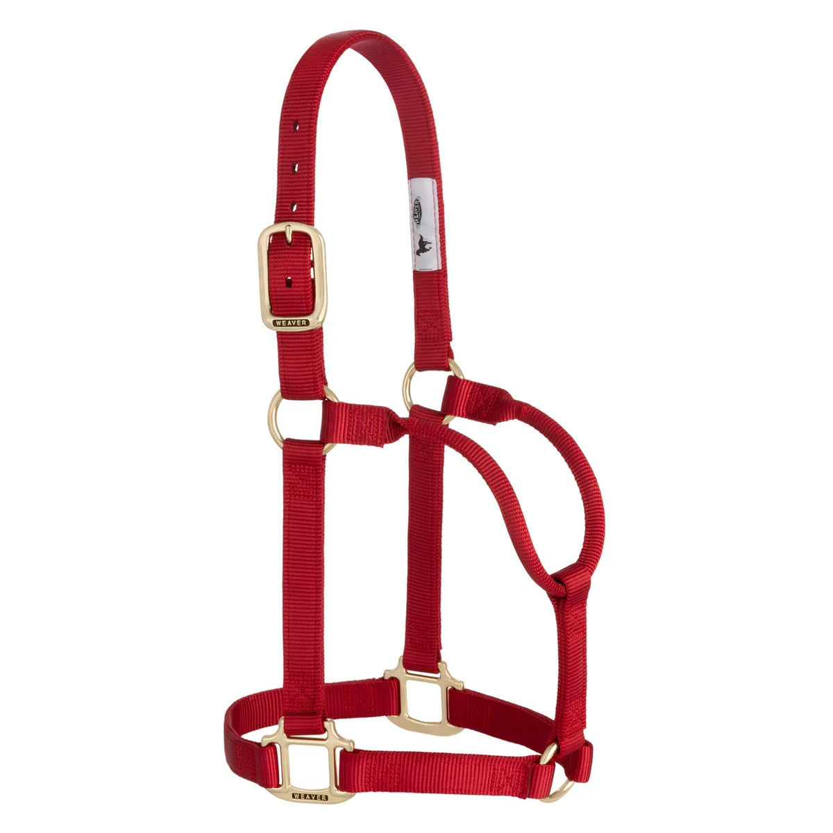 a red nylon web halter with brass hardware