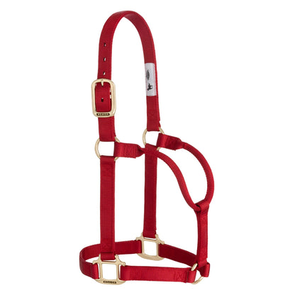 a red nylon web halter with brass hardware