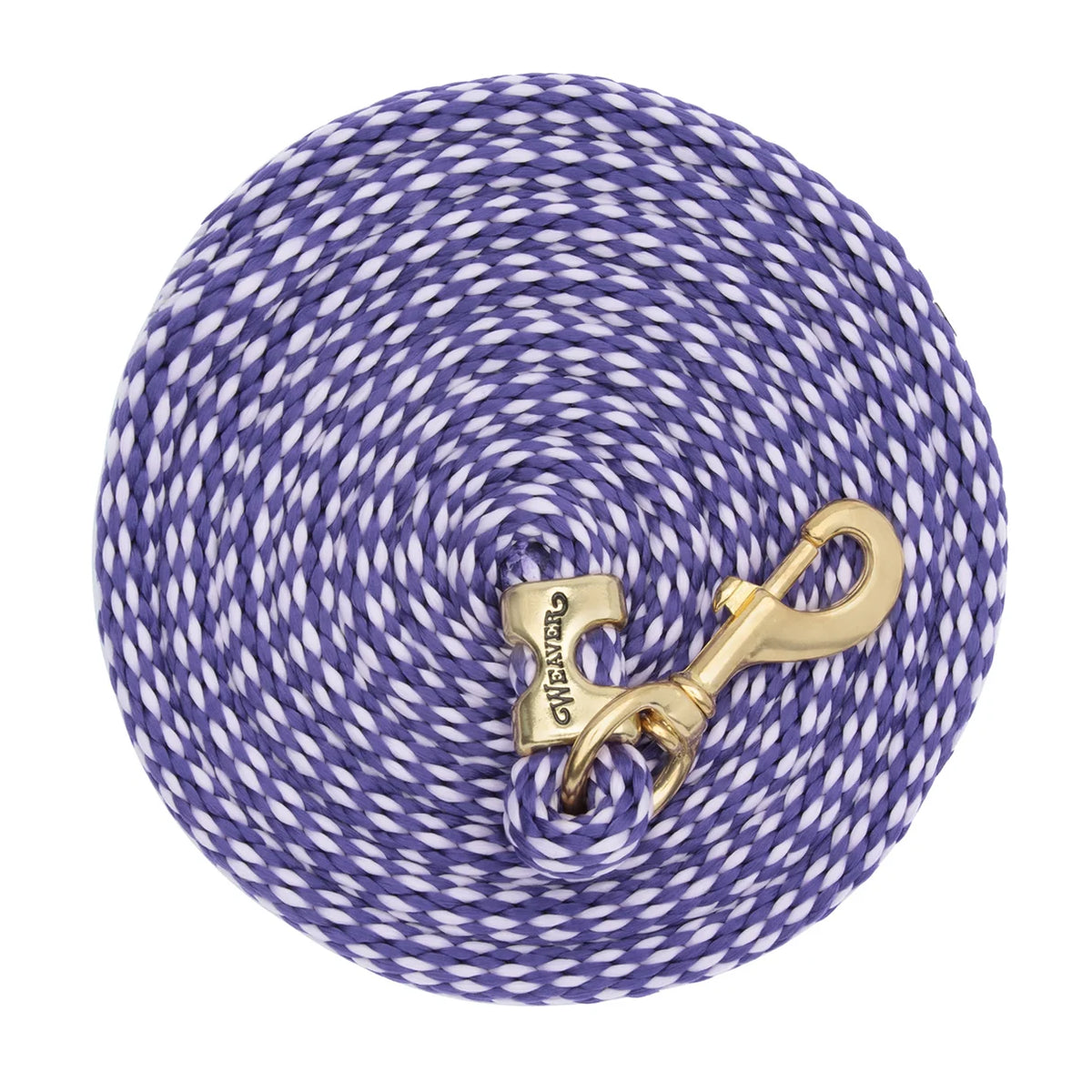 a coiled up two tone purple rope with a brass snap