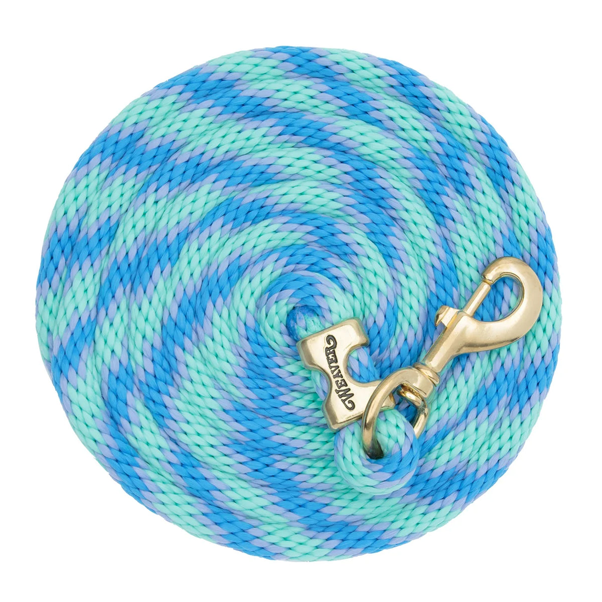 a light green and blue coiled up rope with a brass snap