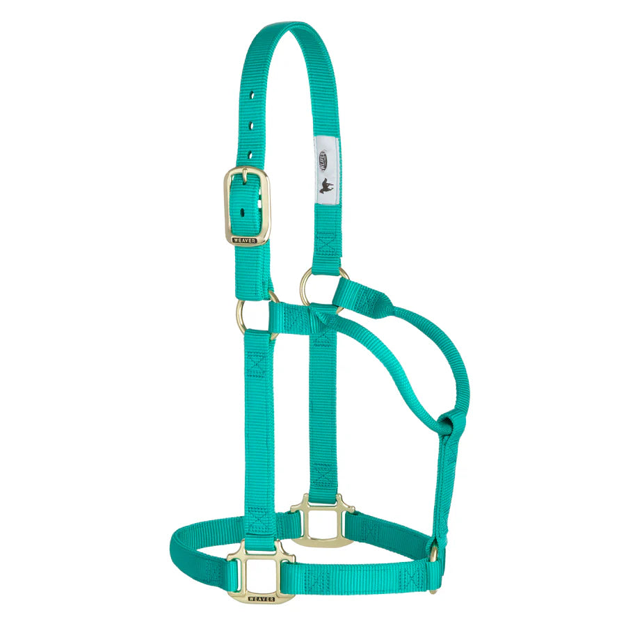 emerald green nylon horse halter with brass hardware on a white background