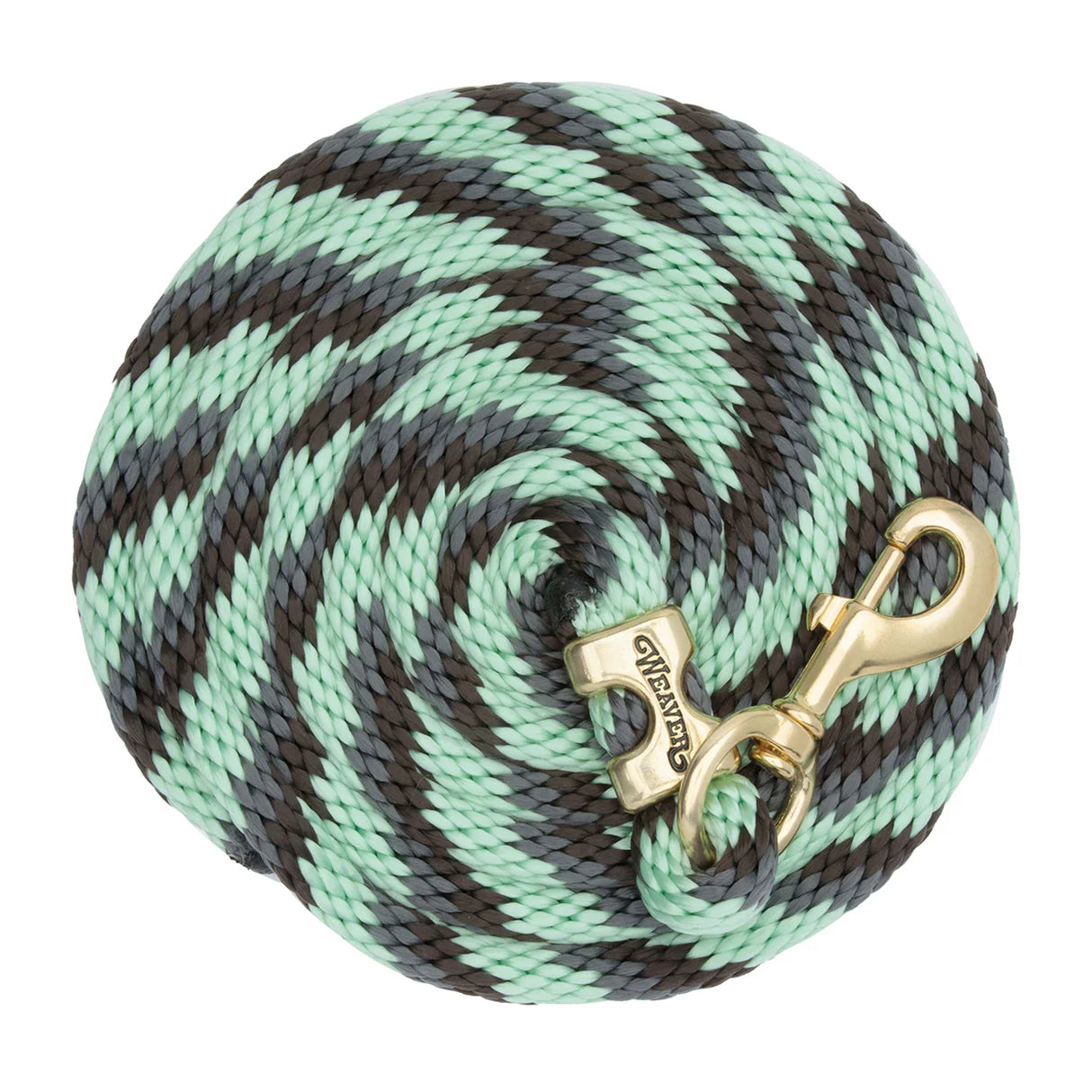 mint and grey coiled lead rope for horses with a brass clip on a white background
