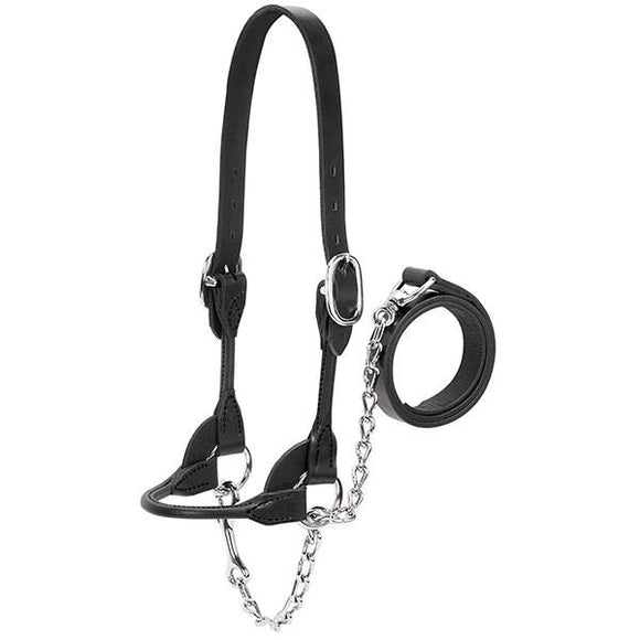 Cattle Show Halter by Weaver®