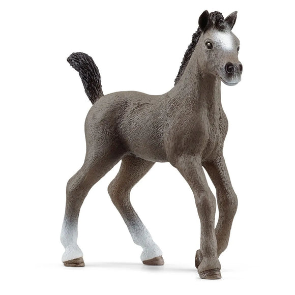 Selle Francais Foal Figurine by Schleich®