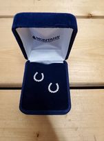 Small Crystal Horseshoe Earrings by Montana Silversmiths