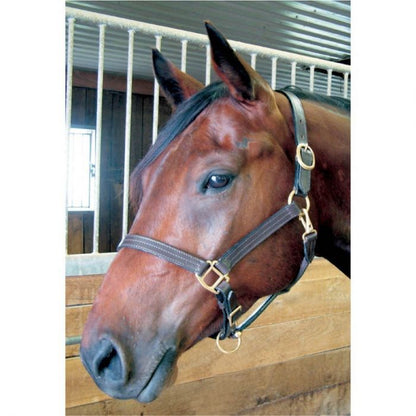 Bromont Saddlery® Leather Halter