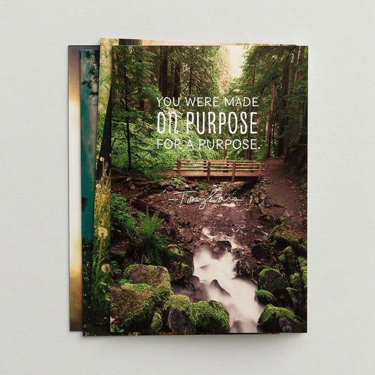 Tony Evans™ Birthday Assortment 12 Card Box Set by DaySpring®