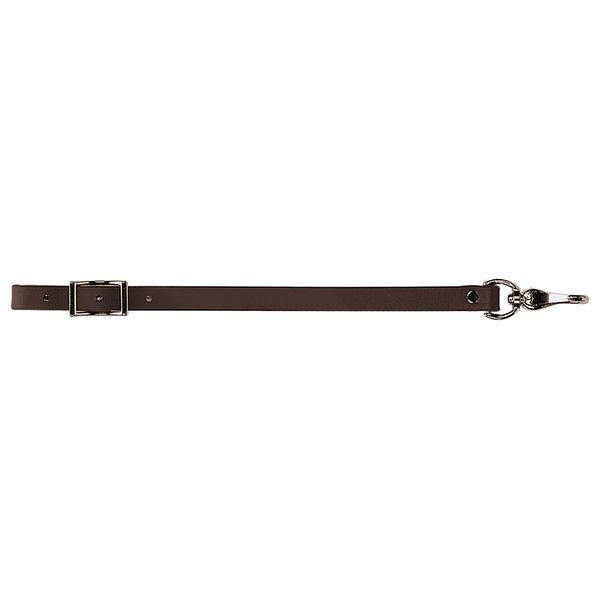 brown brahma webb cinch connector strap on a white background