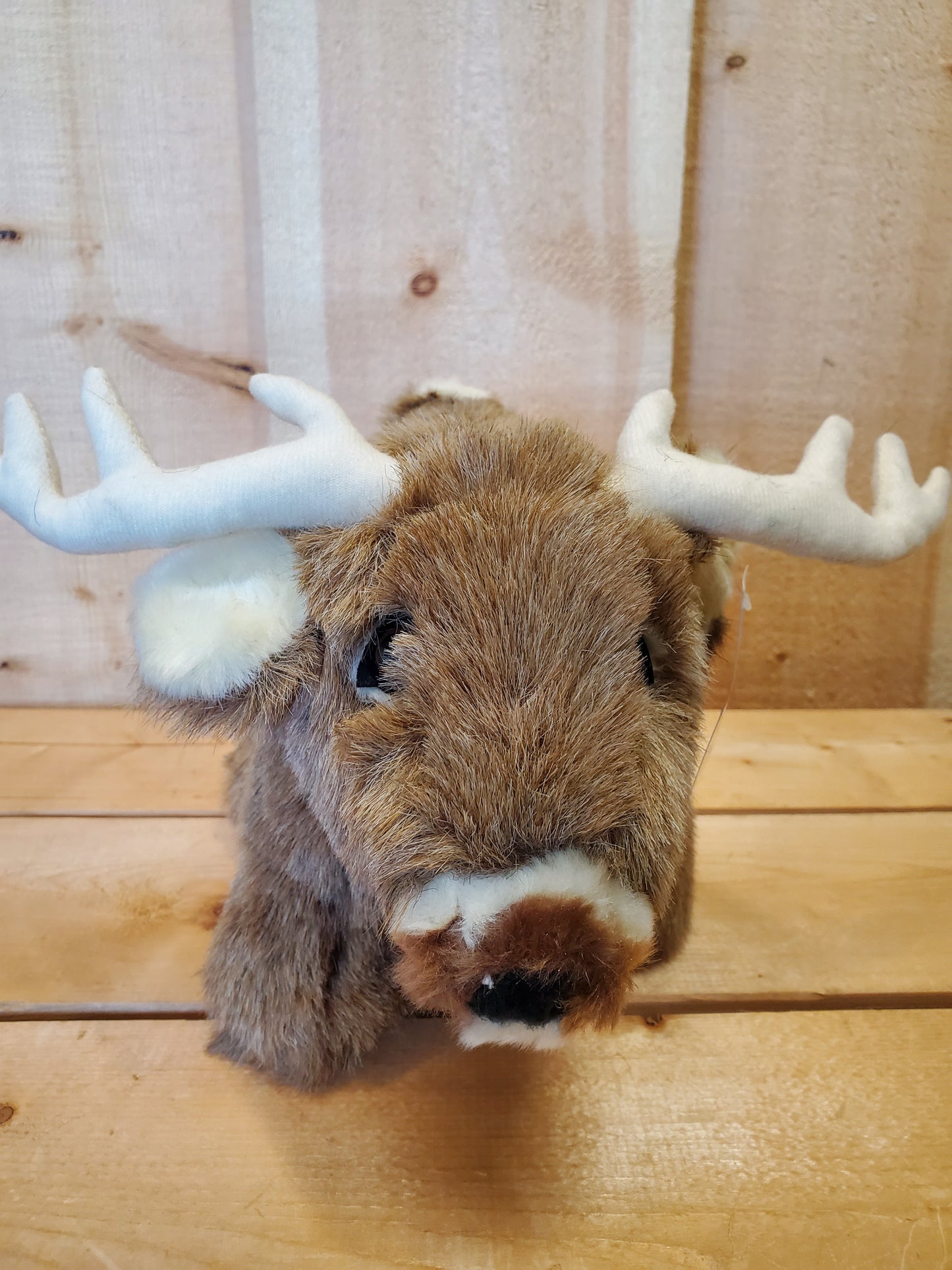 Plush Coin Bank