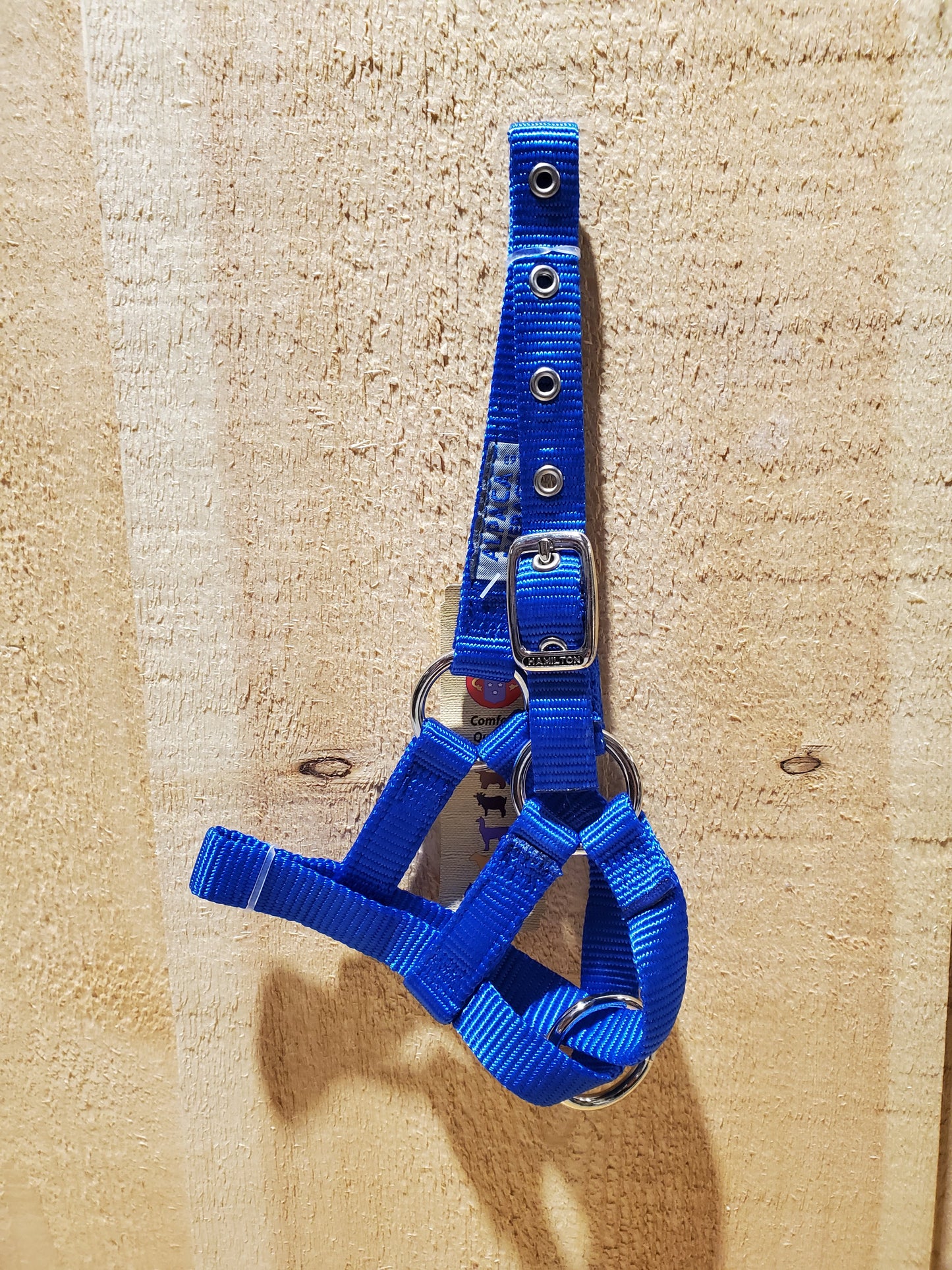 Hamilton® Alpaca Halter