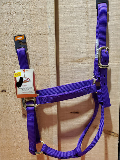 Original Non-Adjustable Large Halter by Weaver