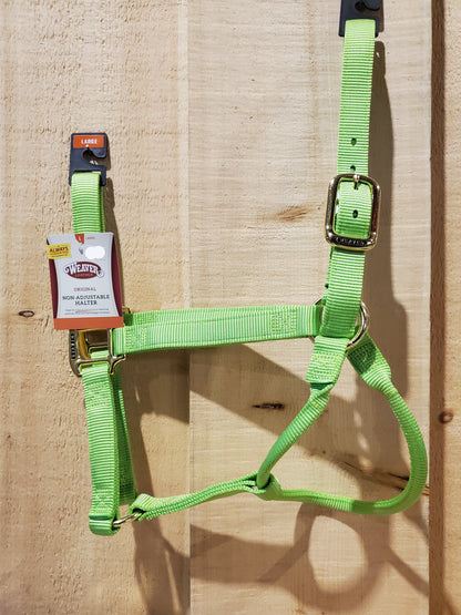 Original Non-Adjustable Large Halter by Weaver