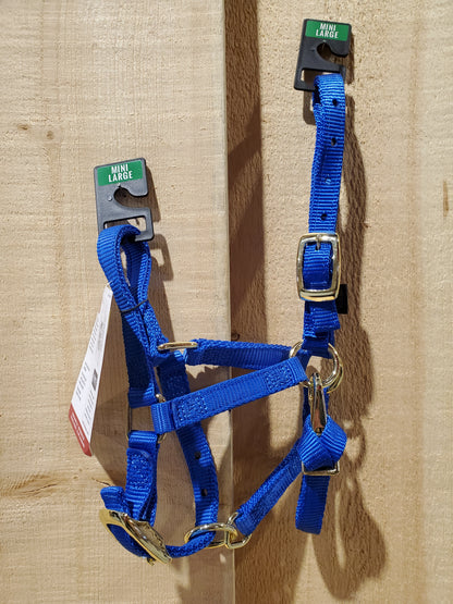 blue nylon miniature horse halter with brass plated hardware and a non-rust solid brass throat snap.