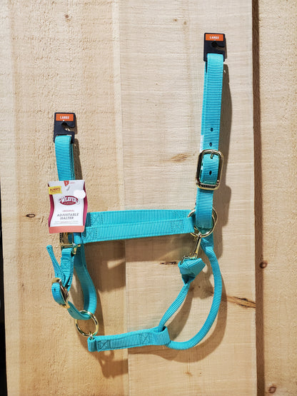 A mint colored nylon horse halter with brass plated hardware, including a buckle and throat snap, and box-stitching at stress points.