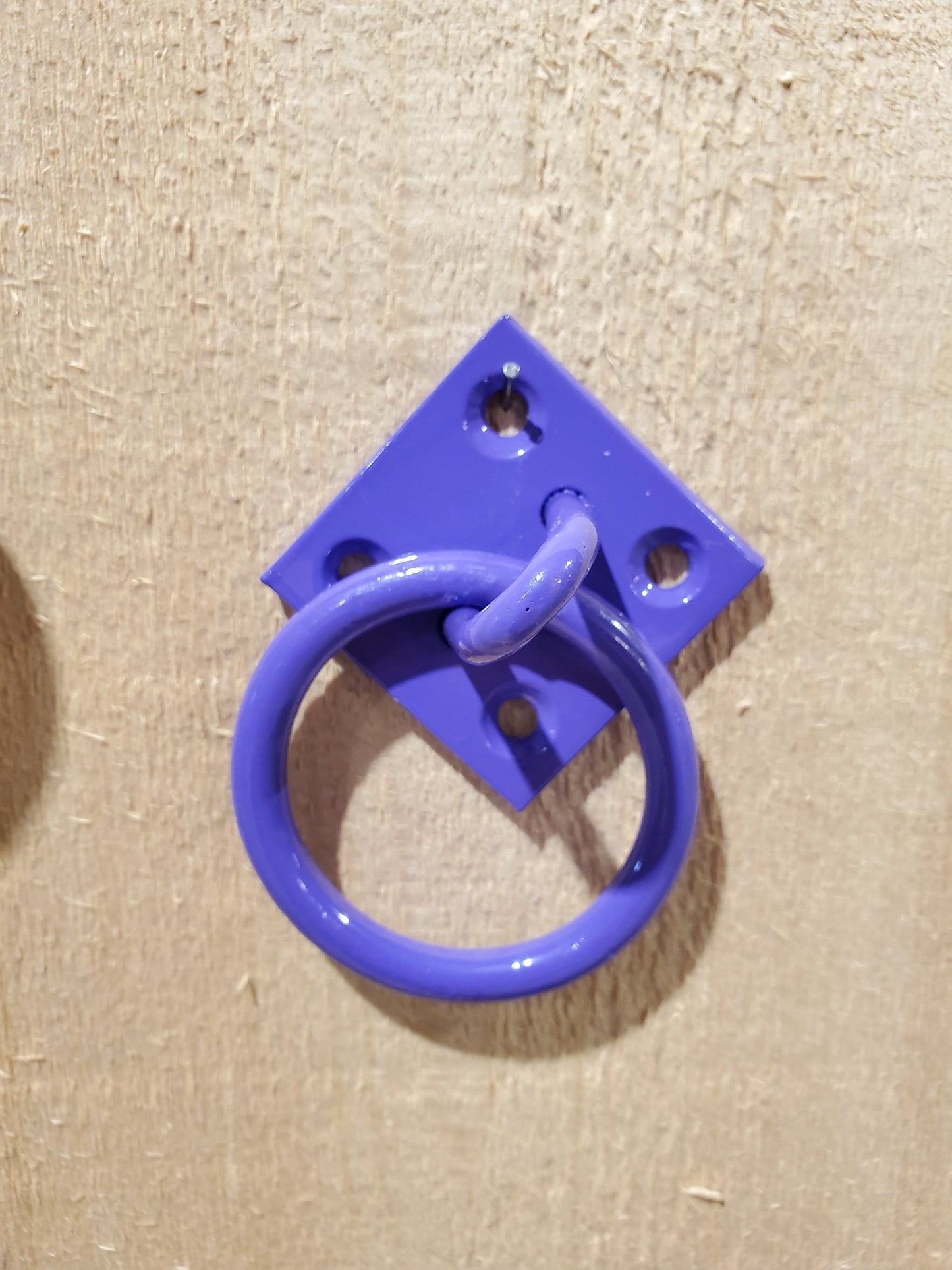 Ring on Plate Set by Perry®