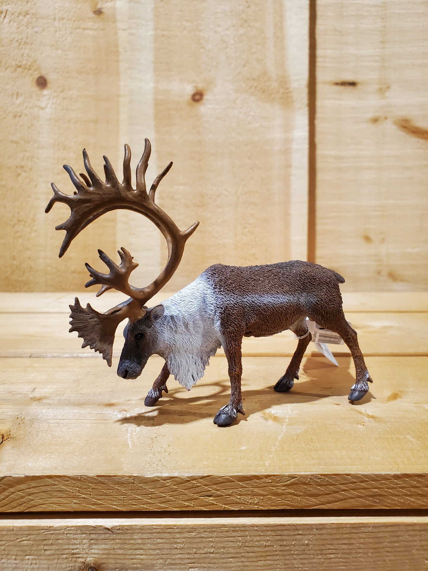 Woodland Caribou Figurine by CollectA®